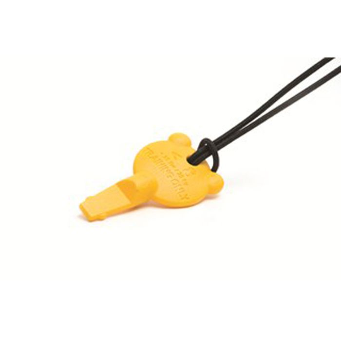 AED Trainer 4 Pediatric Key