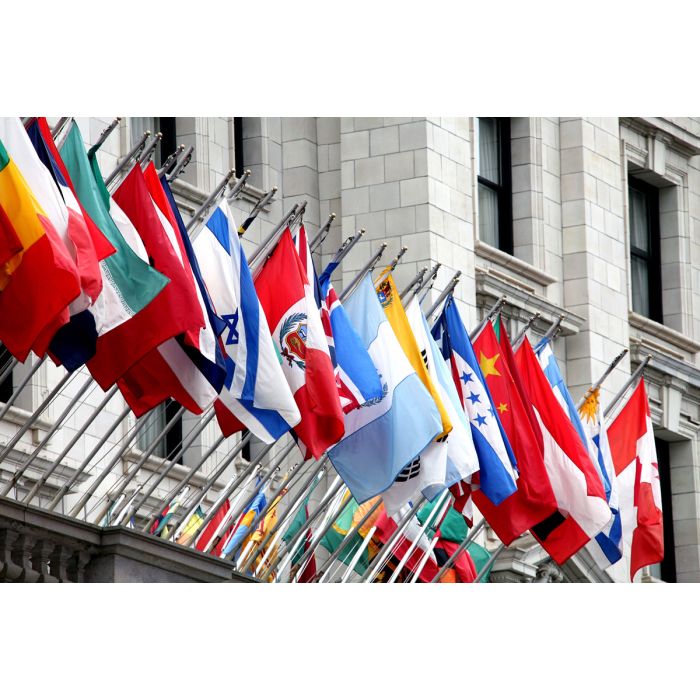 3X5 FT NYL-GLO 35 ORGANIZATION OF AMERICAN STATES MEMBER NATION SET