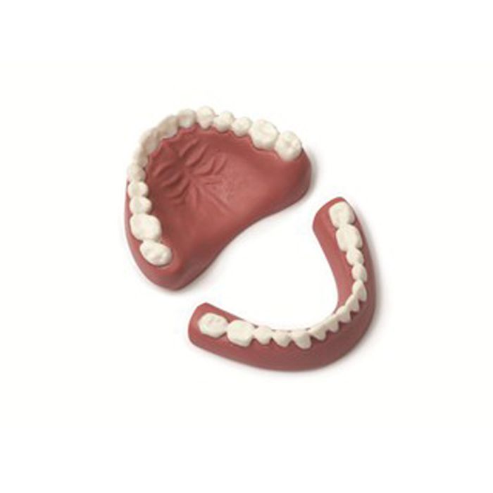 Denture Set - Upper/Lower - Adult