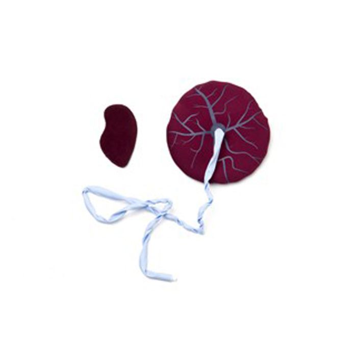 MamaNatalie Placenta Kit