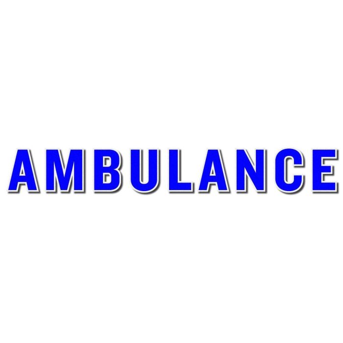 Ambulance 6" with White Border