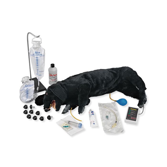 Advanced Sanitary CPR Dog