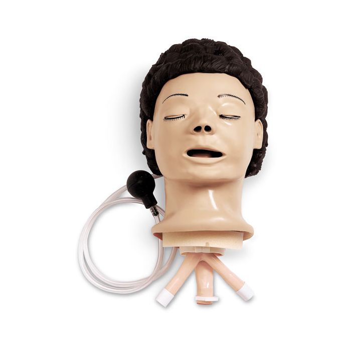 Airway Management Trainer, Head