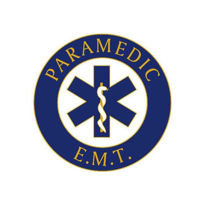 Paramedic E.M.T. Pin - Gold