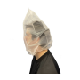 Taylor Spit Hood