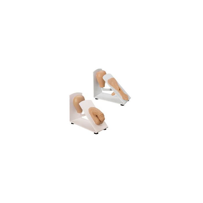 Simulaids Male & Female Catheterization Trainer Set