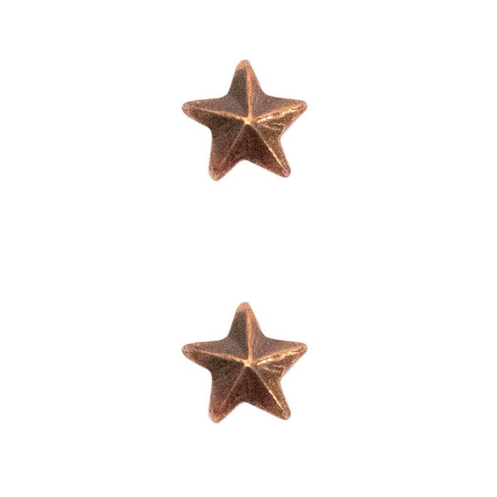 3/16 INCH Single Bronze Star Ribbon Attachment 2 per package
