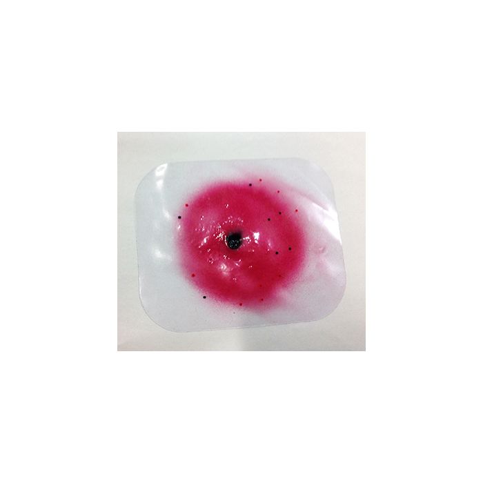 Simulaids Intermediate Range Wound