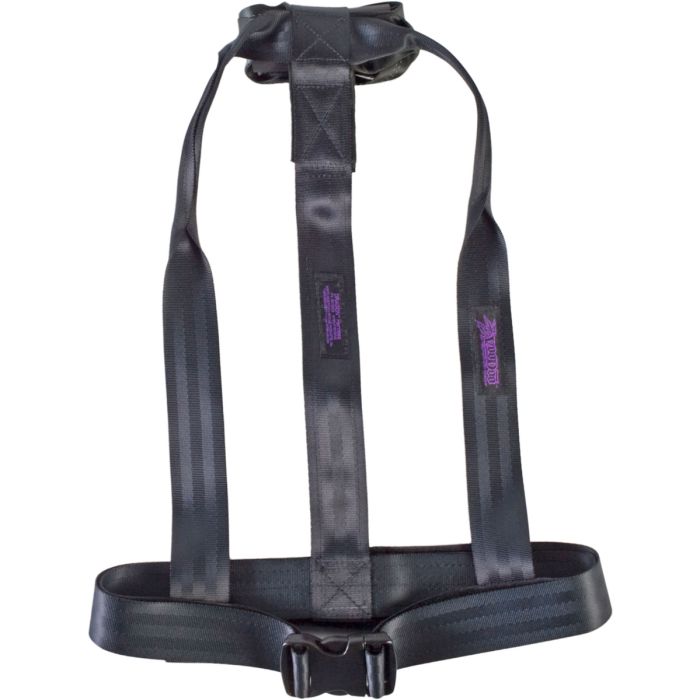 Dragon Harness Dragon Harness
