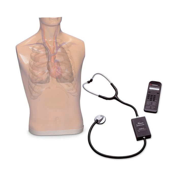 Auscultation Trainer w/Speaker