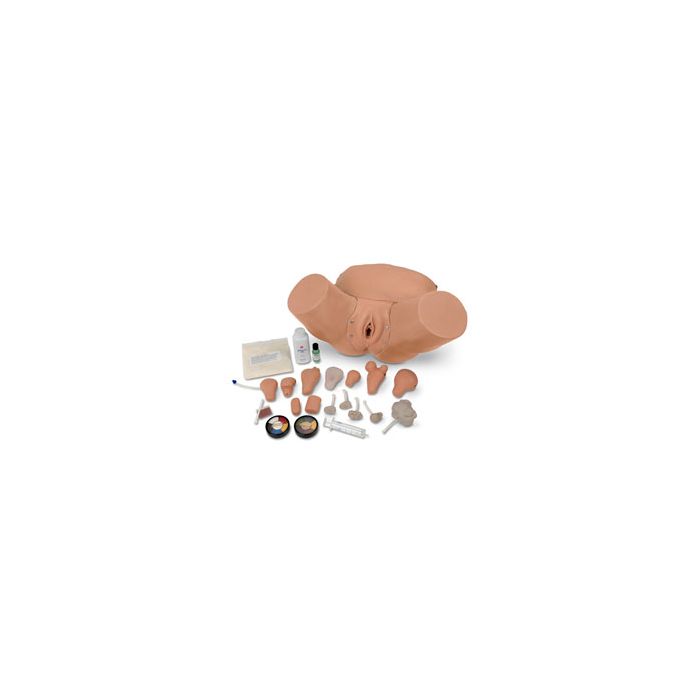 Life/form® Advanced Pelvic Examination and Gynecological Simulator