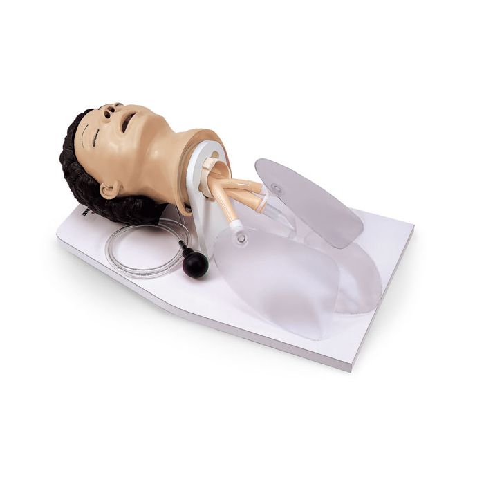 Airway Management Trainer w/Stand &Case