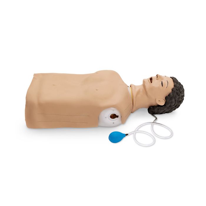 Airway Management Trainer, Basic Torso