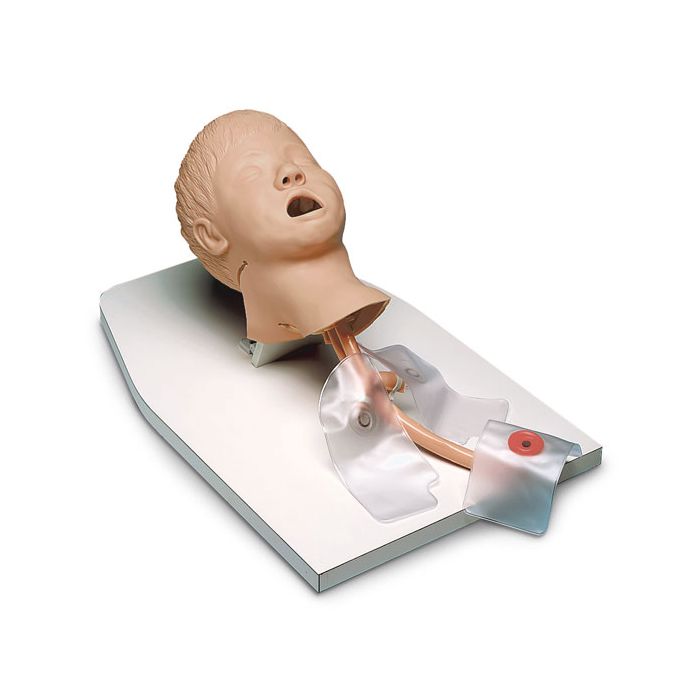 Child Airway Management Trainer Head on Stand w/Case