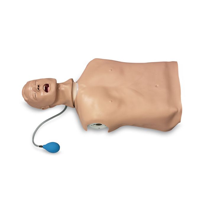 "Airway Larry" AMT Torso