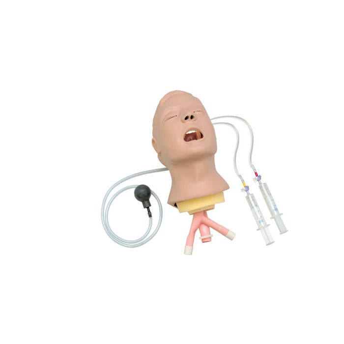 Advanced "Airway Larry" AMT, Head Only