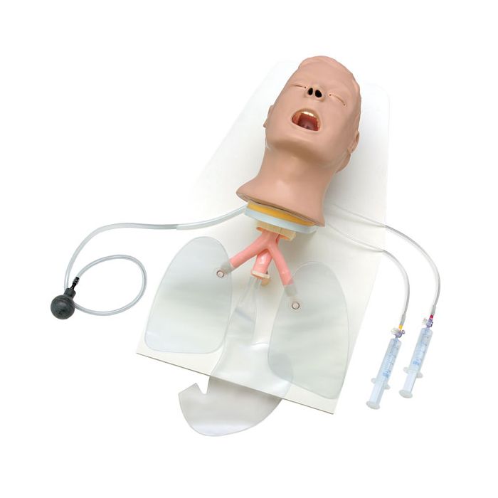 Advanced "Airway Larry" AMT Head w/Stand & Case