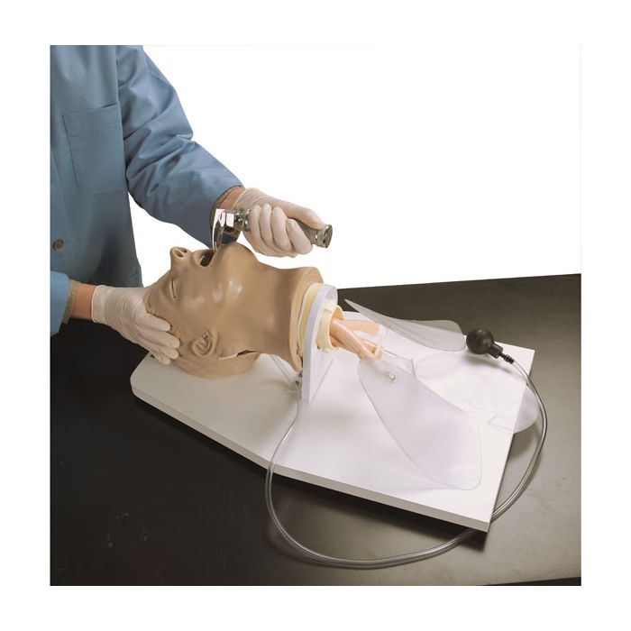 "Airway Larry" AMT w/Stand & Case