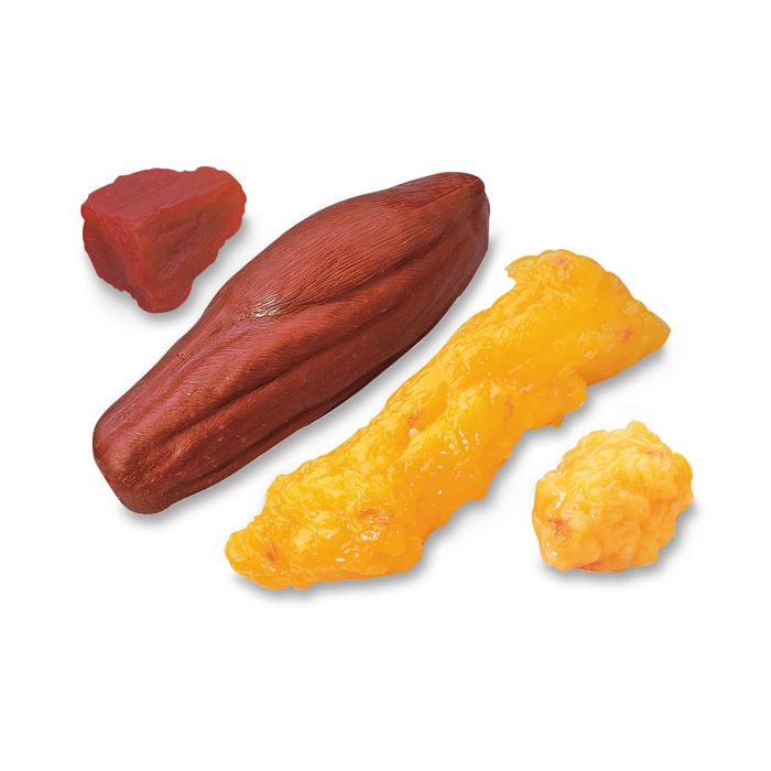 1 lb. & 5 lb. Fat and 1 lb. & 5 lb. Muscles