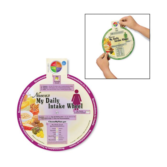 My Daily Intake Wheel