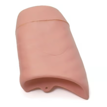 Left Lung, Airway Management Trainer