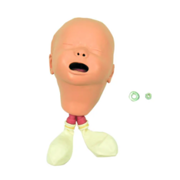 HEAD; NEONATE-W/STOM-STD