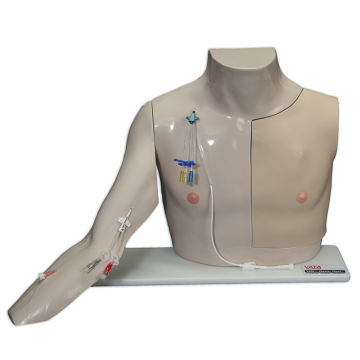 Chester Chest Std Arm - Light Skin