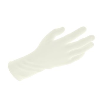 Vinyl Exam Gloves In A Bag, Large, Powder-Free, Clear, 500/1pr/cs