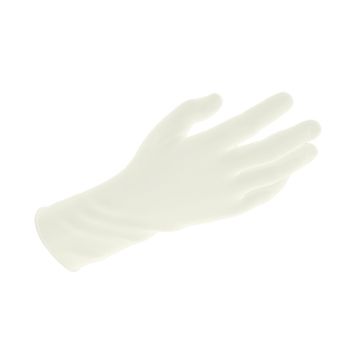 Vinyl Exam Gloves In A Bag, Large, Powder-Free, Clear, 500/2pr/cs