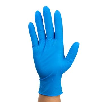 Nitrile Exam Gloves In A Bag, Large, Powder-Free, Blue, 500/1pr/cs