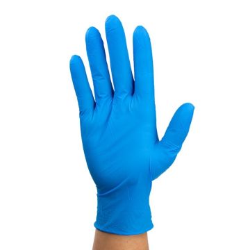 Nitrile Exam Gloves In A Bag, Large, Powder-Free, Blue, 500/2pr/cs