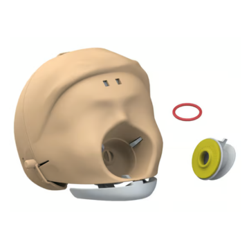 Little Anne Head Skull Light 1 PK