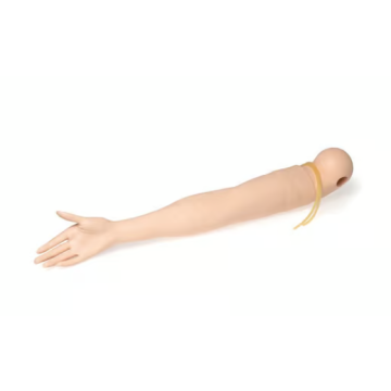 IV Arm, Left, Adult Female