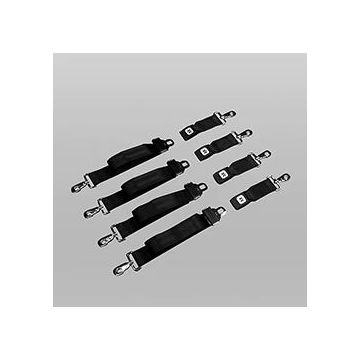 CombiCarrier Patient Restraints (set of 4, Speed Clip)