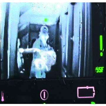 Simulaids Thermal Image Ti Randy 145 Large Body