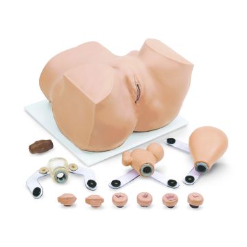 Simulaids Eva Gynecologic Manikin With Carry Case