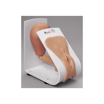 Simulaids Female Catheterization Trainer