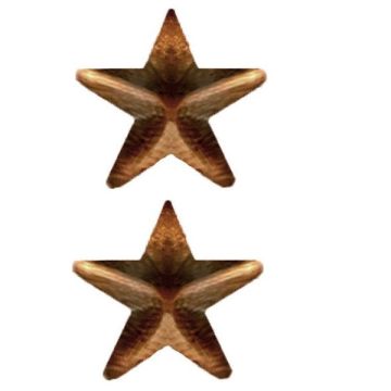 5/16 INCH Bronze Star, Ribbon Attachment 2 per package