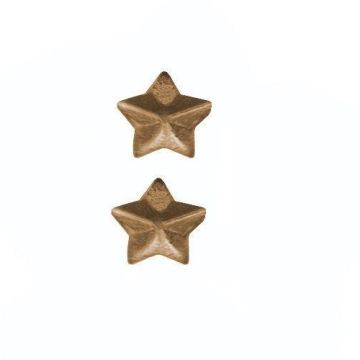 1/8 INCH Miniature Bronze Star, Ribbon Attachment 2 per package