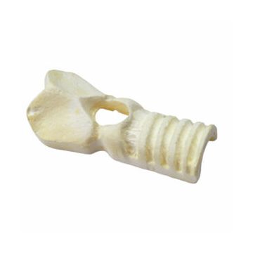 Simulaids Adult Replacement Trachea for Cricothrotomy Simulator