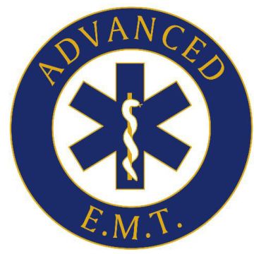 Advanced Emergency Medical Technician Pin - Gold