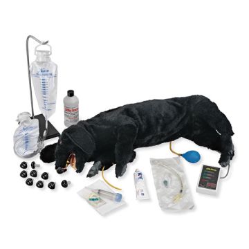 Advanced Sanitary CPR Dog