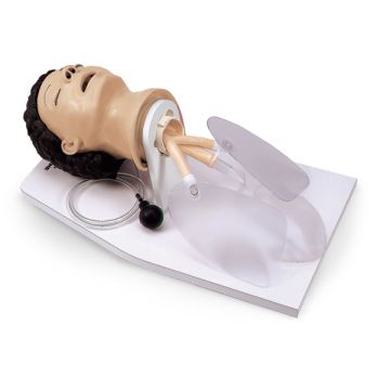 Airway Management Trainer w/Stand &Case