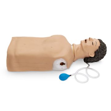 Airway Management Trainer, Basic Torso