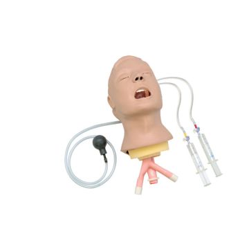 Advanced "Airway Larry" AMT, Head Only