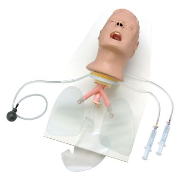 Advanced "Airway Larry" AMT Head w/Stand & Case