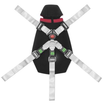 KangooFix Neonatal Restraint System